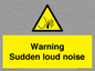 WV7774: Warning Sudden loud noise