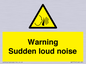 WV7774: Warning Sudden loud noise