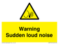 WV7774: Warning Sudden loud noise