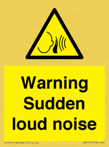WV7774: Warning Sudden loud noise