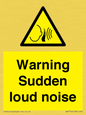 WV7774: Warning Sudden loud noise