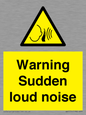 WV7774: Warning Sudden loud noise