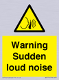 WV7774: Warning Sudden loud noise