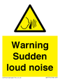 WV7774: Warning Sudden loud noise