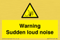 WV7774: Warning Sudden loud noise