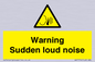 WV7774: Warning Sudden loud noise