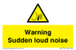 WV7774: Warning Sudden loud noise
