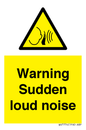 WV7774: Warning Sudden loud noise