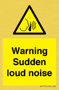 WV7774: Warning Sudden loud noise