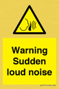 WV7774: Warning Sudden loud noise