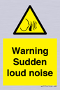 WV7774: Warning Sudden loud noise