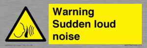 WV7774: Warning Sudden loud noise