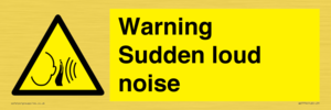 WV7774: Warning Sudden loud noise