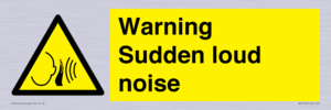 WV7774: Warning Sudden loud noise