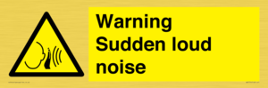 WV7774: Warning Sudden loud noise