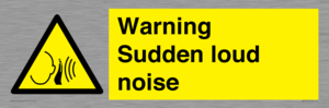 WV7774: Warning Sudden loud noise