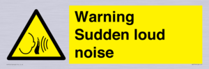 WV7774: Warning Sudden loud noise