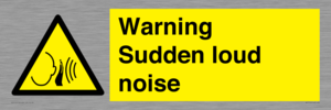 WV7774: Warning Sudden loud noise