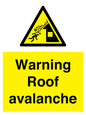 WV7775: Warning Roof avalanche