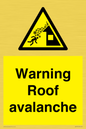 WV7775: Warning Roof avalanche