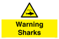 WV7778: Warning sharks
