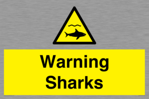 WV7778: Warning sharks