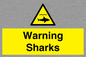 WV7778: Warning sharks