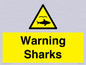 WV7778: Warning sharks