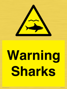 WV7778: Warning sharks
