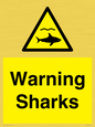 WV7778: Warning sharks