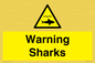 WV7778: Warning sharks