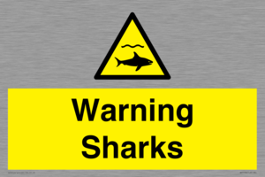 WV7778: Warning sharks