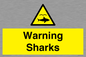 WV7778: Warning sharks