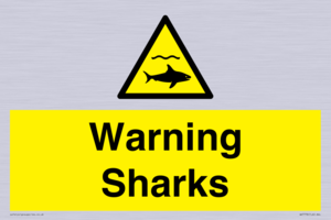 WV7778: Warning sharks