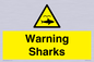 WV7778: Warning sharks