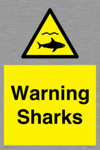 WV7778: Warning sharks