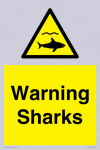 WV7778: Warning sharks