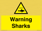 WV7778: Warning sharks
