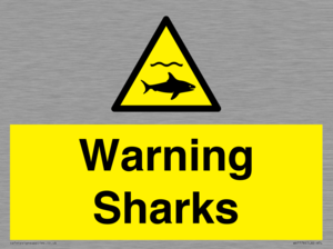 WV7778: Warning sharks