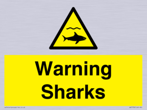WV7778: Warning sharks
