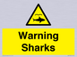 WV7778: Warning sharks