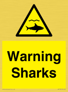 WV7778: Warning sharks