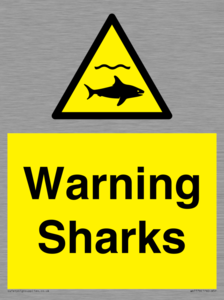 WV7778: Warning sharks