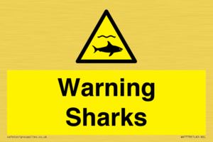 WV7778: Warning sharks