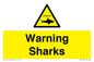 WV7778: Warning sharks
