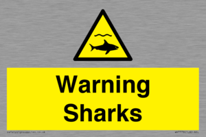 WV7778: Warning sharks