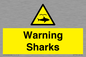 WV7778: Warning sharks