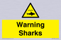 WV7778: Warning sharks