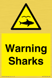 WV7778: Warning sharks