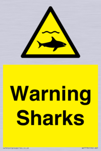 WV7778: Warning sharks